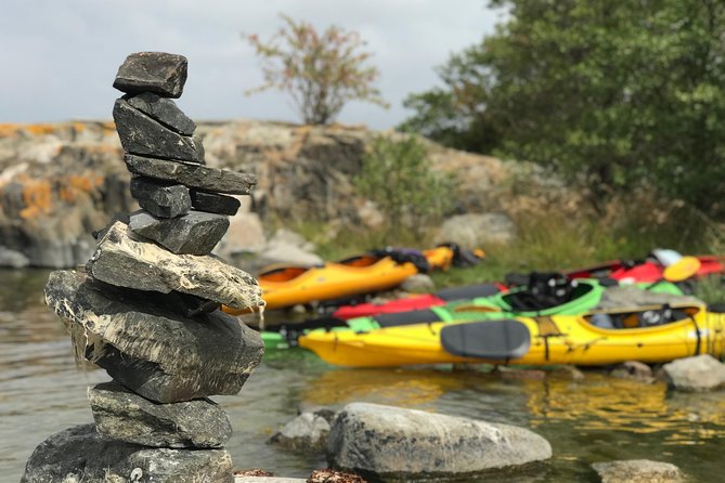 1-Day Small-Group Stockholm Archipelago Kayak Tour - Plants, birds, and quiet natural details