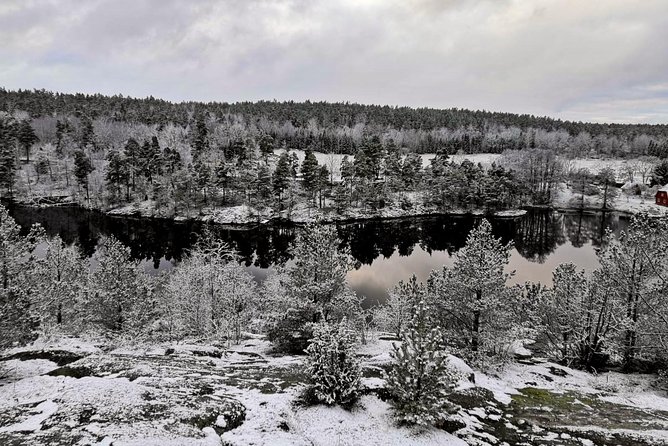 1-Day Small-Group Stockholm Nature Hiking - A national park walk with room to look around