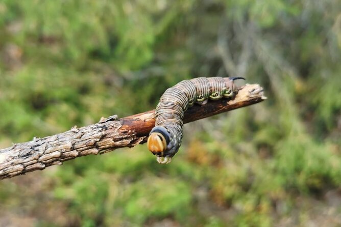 2-Day Small-Group Basic Skills Survival Course in Södermanland - Is the $480.71 price good value?