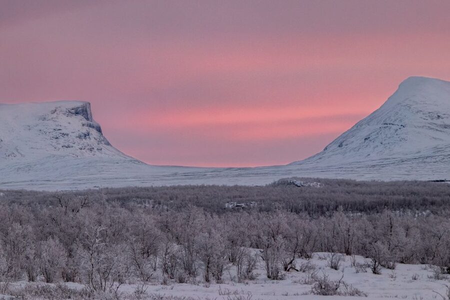 Abisko National Park: Scenic Morning Hike with Transfer - What your guide adds to the walk