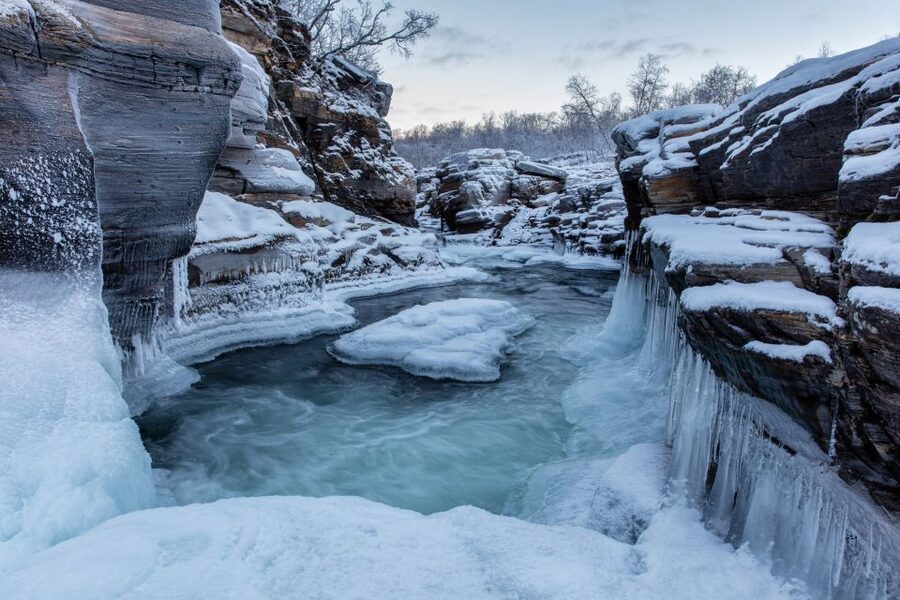 Abisko National Park: Scenic Morning Hike with Transfer - Who should choose this two-hour hike?