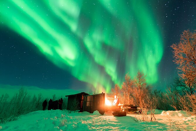 Abisko Northern Lights Tour with Photographer - Is $59 good value for this Abisko tour?