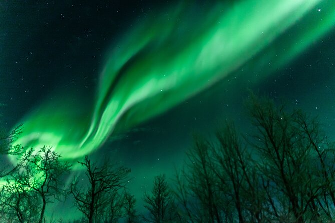 Abisko Northern Lights Tour with Photographer - From the 7 pm pickup to the first road decision