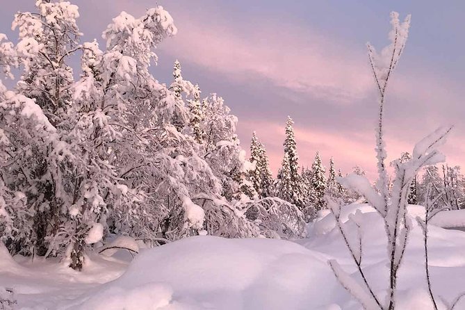 Afternoon Snowmobile Tour - What the cold really feels like