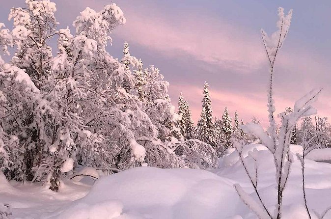 Afternoon Snowmobile Tour - How much value do you get for $178.32?