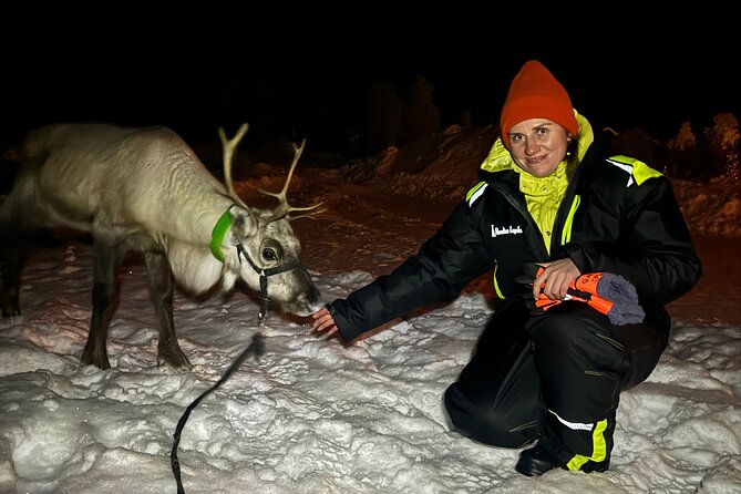 Arctic Adventure with Reindeer and Northern Lights Hunt 18:30 pm - Meeting Sámi culture through conversation