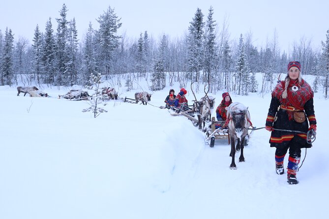 Aurora Hunting with Reindeer Caravan - Searching the dark Kiruna sky