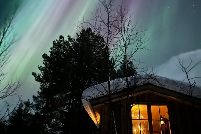 Aurora Hunting with Reindeer Caravan - Who will enjoy this evening most