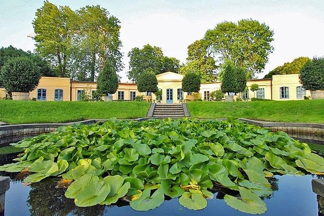 Day-Trip- to-Uppsala - Linnaeus, plants, and the botanical garden