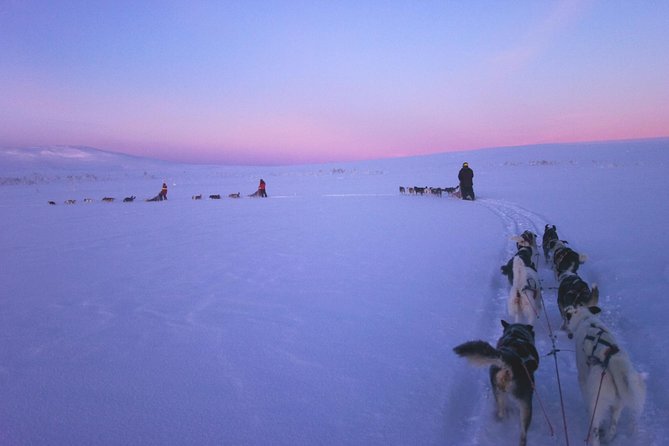 Dogsled Adventure Kiruna - From Kiruna pickup to the dog yard