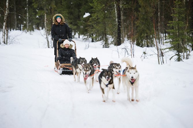 Dogsled Adventure Kiruna - A Swedish fika stop beside the fire