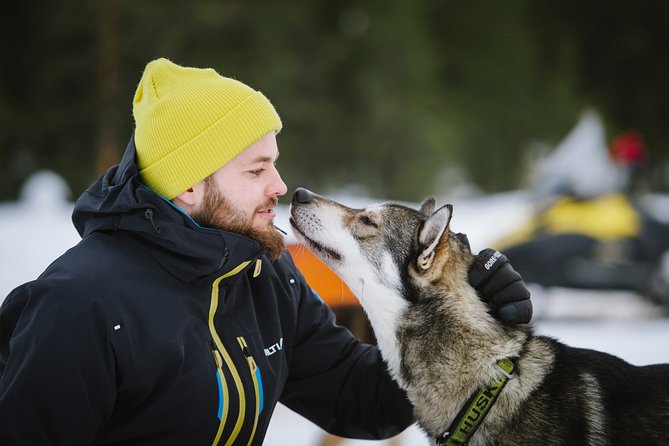 Dogsled Adventure Kiruna - Is $308.43 a fair price?