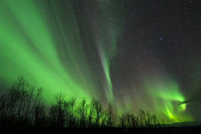 Enjoy the Aurora show on top of the mountain inc tipi dinner - Is $338.80 per person fair?