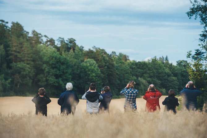 Evening Wildlife Safari Stockholm - Five things to know before you book