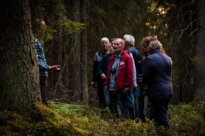 Evening Wildlife Safari Stockholm - Food, warmth, and practical comfort