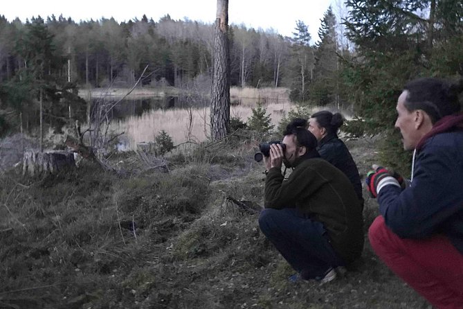 Evening Wildlife Safari with Campfire Dinner from Stockholm - Should you book the Tyresta wildlife safari?