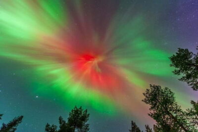 Experience the majestic Auroras Kiruna-Abisko & lodge dinner