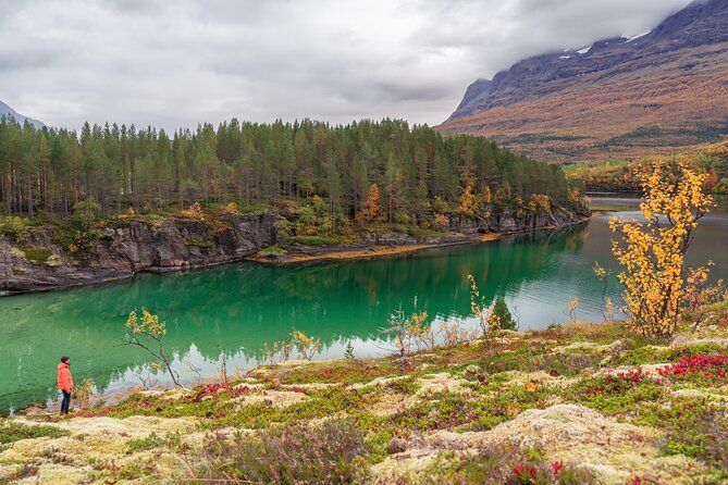 Explore the Norwegian Fjords and the Wildlife From Abisko - Who should book this fjord outing?