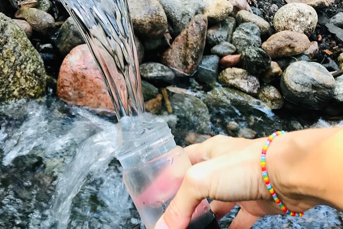 Forestbathing Slow Walking and Healing Spring Water, Stockholm - Key points to know before you book