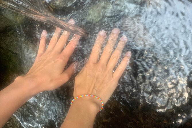 Forestbathing Slow Walking and Healing Spring Water, Stockholm - What the $213.27 price really covers
