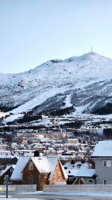 From Kiruna: Narvik City and Fjord Day Trip - How the lunch break works in Narvik