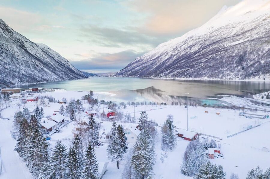 From Kiruna: Narvik City and Fjord Day Trip - Winter conditions, daylight, and photography