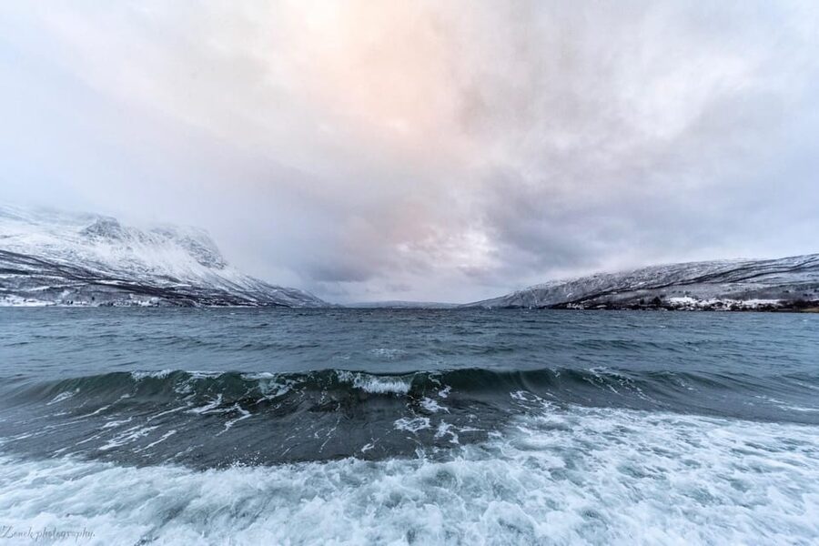 From Kiruna: Narvik City and Fjord Day Trip - Is $245 a fair price?
