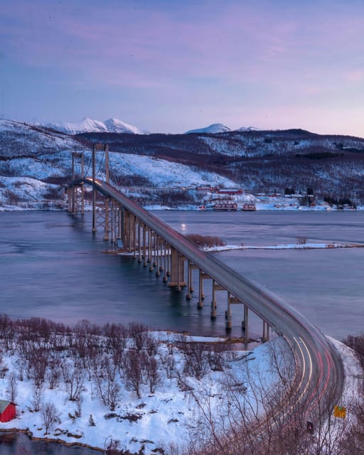 From Kiruna: Narvik City and Fjord Day Trip - Who should book this Kiruna day trip?