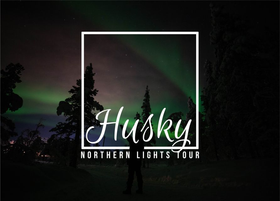 From Kiruna: Northern Lights Guided Husky Sledding Adventure - Key points to know before you book