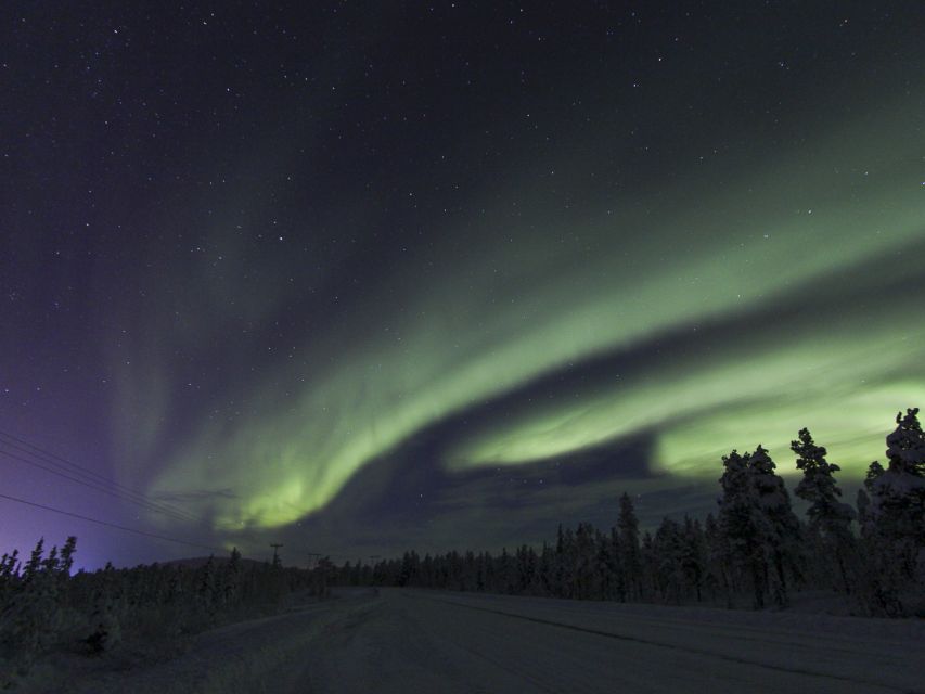 From Kiruna: Northern Lights Guided Husky Sledding Adventure - From Kiruna to Kalixforsbron in 30 minutes