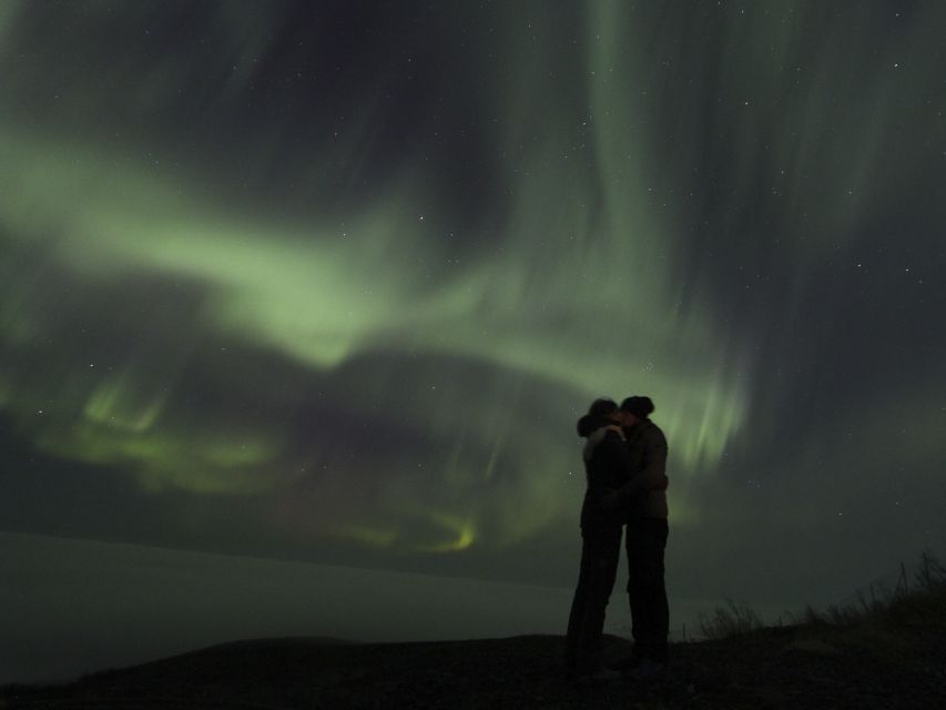 From Kiruna: Northern Lights Guided Husky Sledding Adventure - A 1.5-hour ride through the dark
