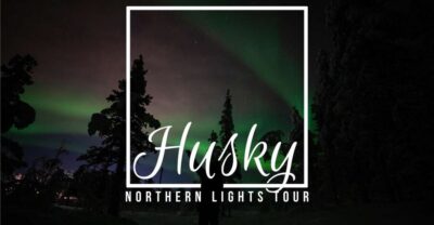 Northern Lights Guided Husky Sledding Adventure