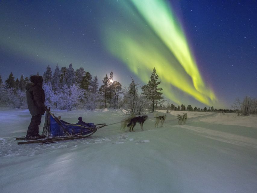 From Kiruna: Northern Lights Guided Husky Sledding Adventure - Swedish fika in a Nordic tipi