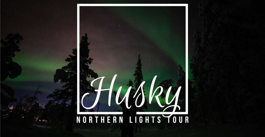 From Kiruna: Northern Lights Guided Husky Sledding Adventure - Meeting the huskies and learning the ropes