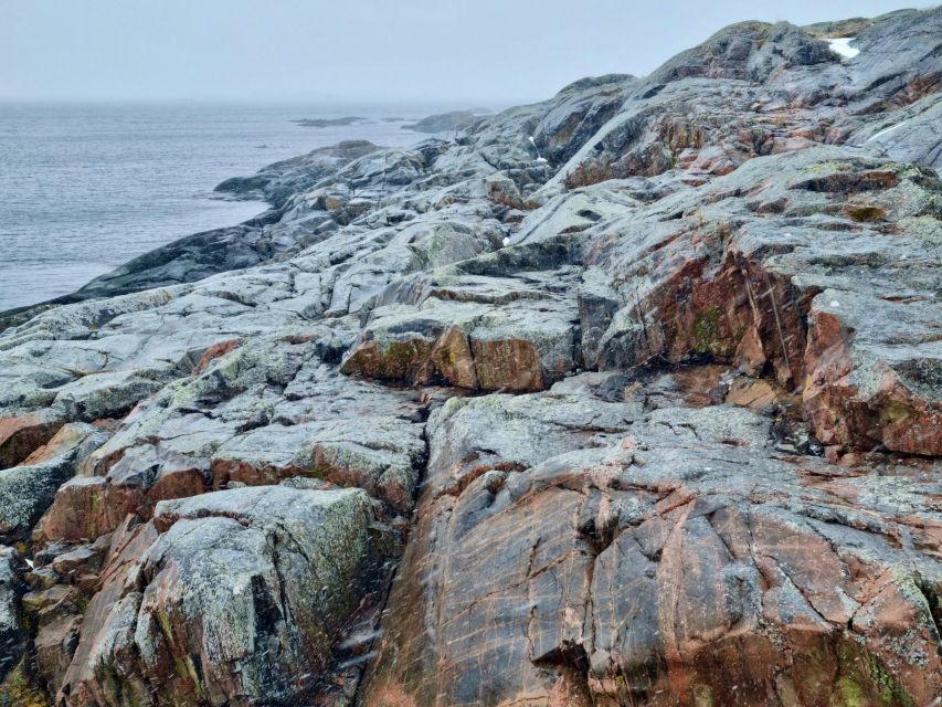 From Stockholm: Archipelago Hike to Landsort Lighthouse - Who will enjoy this Öja excursion?