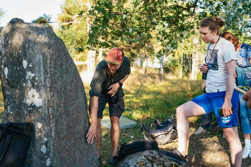 From Stockholm: Moose & Wildlife Safari with Campfire Dinner - Leaving Stockholm for the Swedish woods