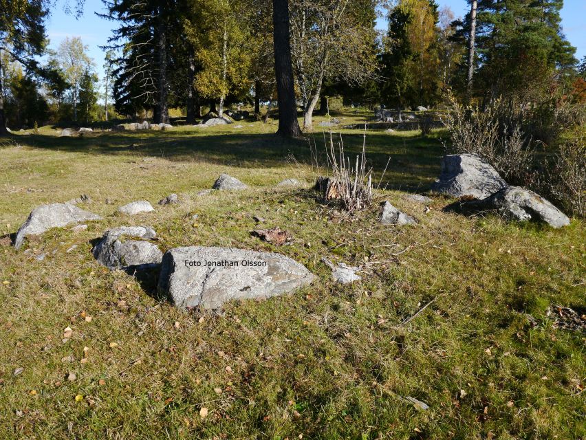 From Stockholm: Viking Culture and Heritage Small Group Tour - Winter conditions and practical comfort