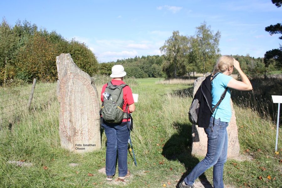 From Stockholm: Viking Culture and Heritage Small Group Tour - Who will enjoy this three-hour outing