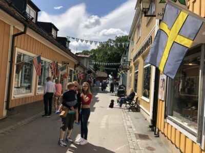 Viking Culture Guided Tour with Transfer