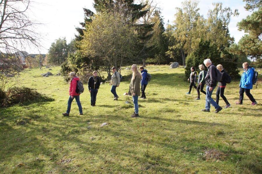 From Stockholm: Viking Culture Guided Tour with Transfer - What the $193 price really covers