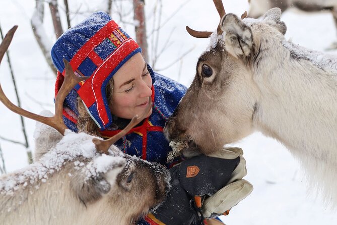 Full-Day Reindeer Tour with Pickup in Kiruna - Key points to know before you book