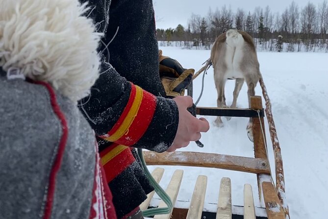 Full-Day Reindeer Tour with Pickup in Kiruna - The one-kilometer sled ride is short but active