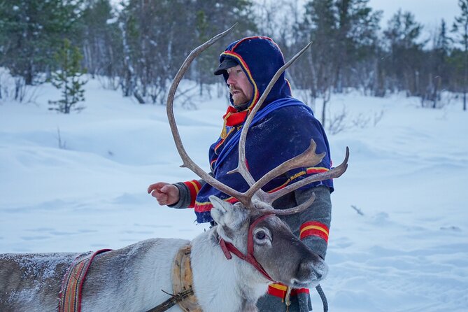 Full-Day Reindeer Tour with Pickup in Kiruna - Lunch by the fire adds a welcome pause