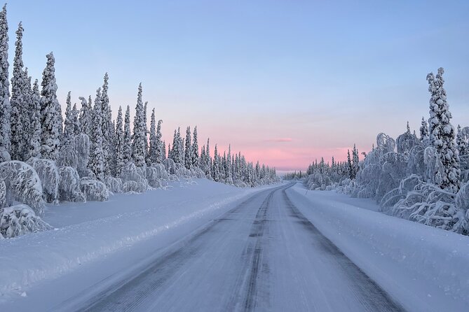 Full-Day Reindeer Tour with Pickup in Kiruna - What the price includes, and where the value lies