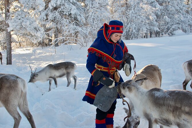 Full-Day Reindeer Tour with Pickup in Kiruna - Warm clothing helps you enjoy the outdoor work