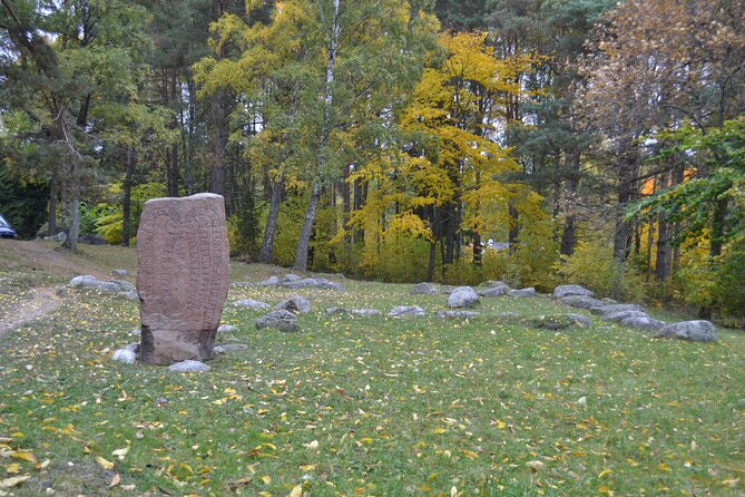 Full Day Viking Tour with Fika Swedish Coffee Break - What the minibus ride is really like
