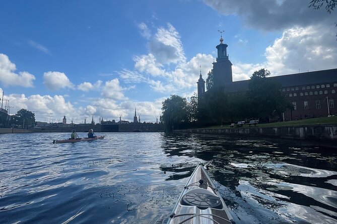 Guided Kayak Tour in Central Stockholm - Booking details worth remembering
