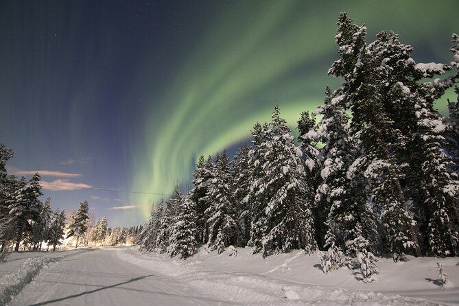 Guided Northern Lights Tour at Kiruna - What the Four-Hour Route Feels Like