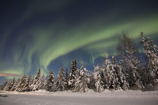 Guided Northern Lights Tour at Kiruna - Who Should Book This Kiruna Tour
