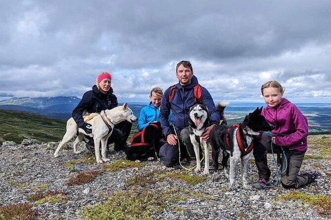 Half Day Guided Walk with Huskies - Starting in Ottsjö, beyond the ski resort